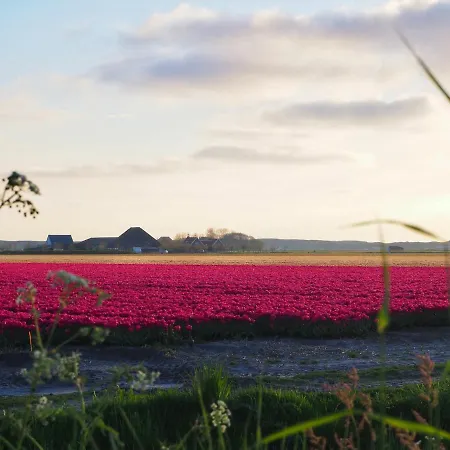 Casa de Férias Zilt7 *