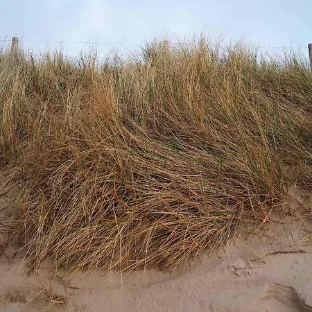 Casa vacanze Zilt7 *