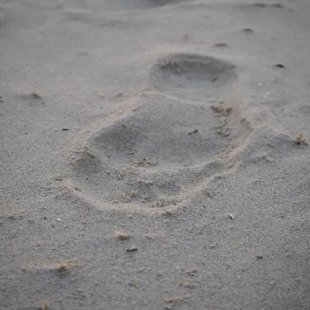 Semesterbostad Zilt7 *