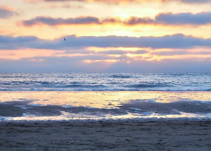 Zilt7 * קלאנטסהוך