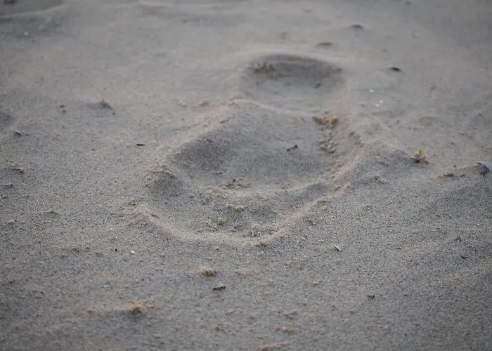 בית נופש Zilt7 *